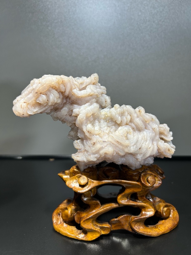 马脑花 白龙马 前后可看