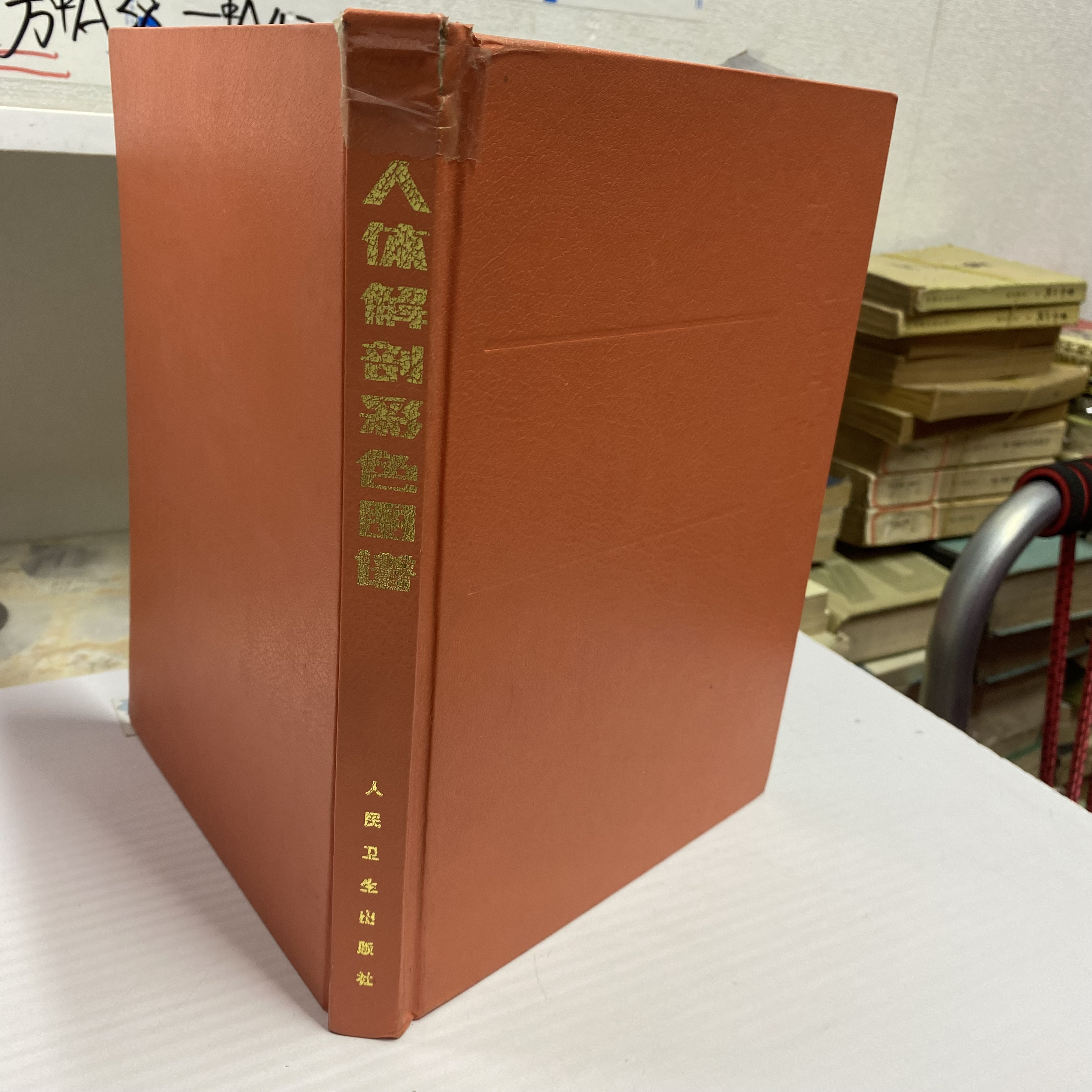 人体解剖彩色图谱 1986年版 人民卫生出版 中A31