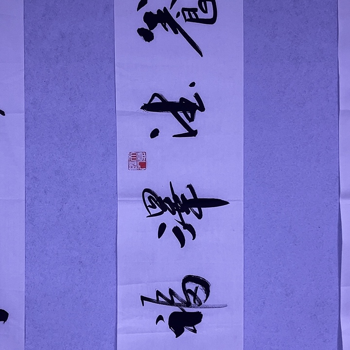 书法书画家作品欣赏
