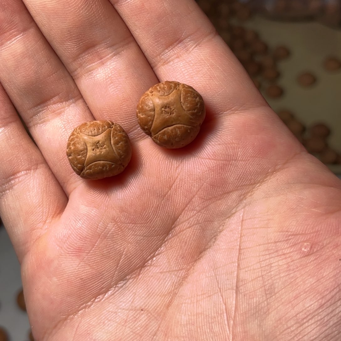 桃核吊坠运费运费运费