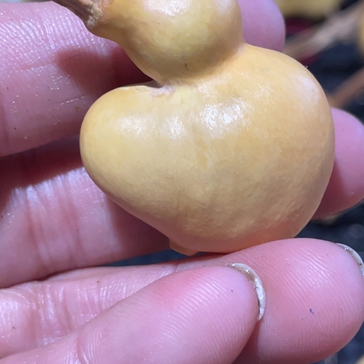 莺***八葫芦哈哈哈哈哈哈哈哈