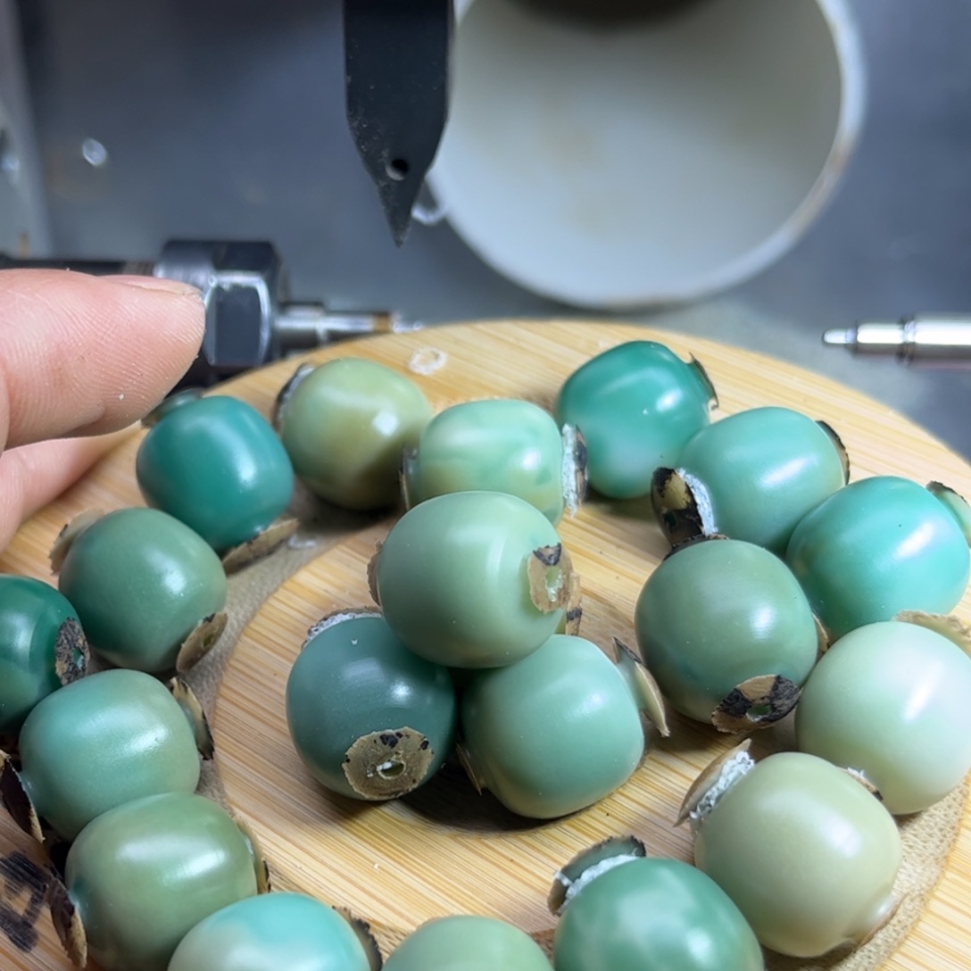 菩提根/象牙果手串