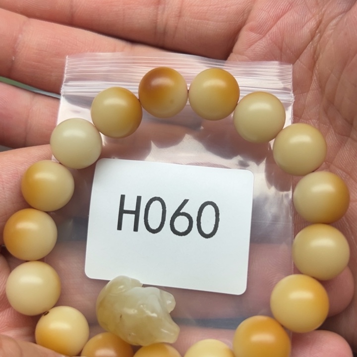 菩提根/象牙果吊坠天**鱼