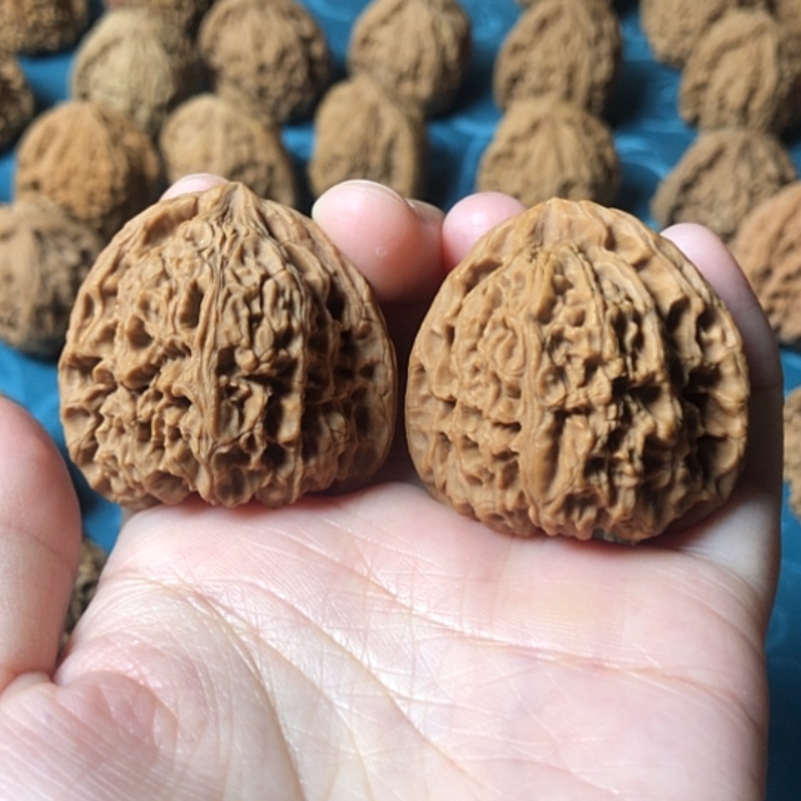 【闪购商品】文玩核桃把件一代将