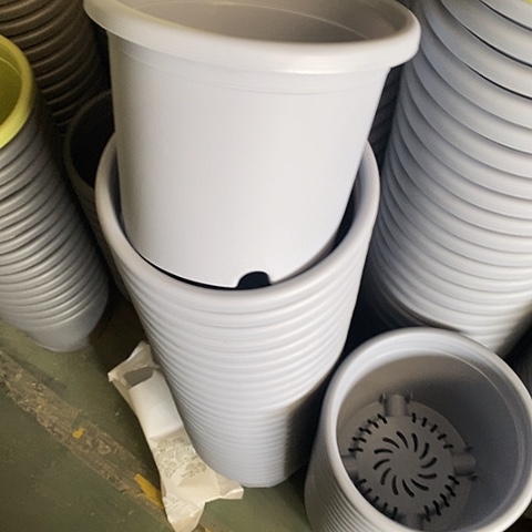 树脂四季3号雾霾蓝无托10个