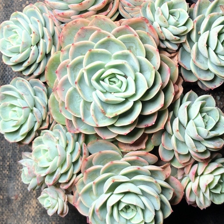 ?****?9//////////////////