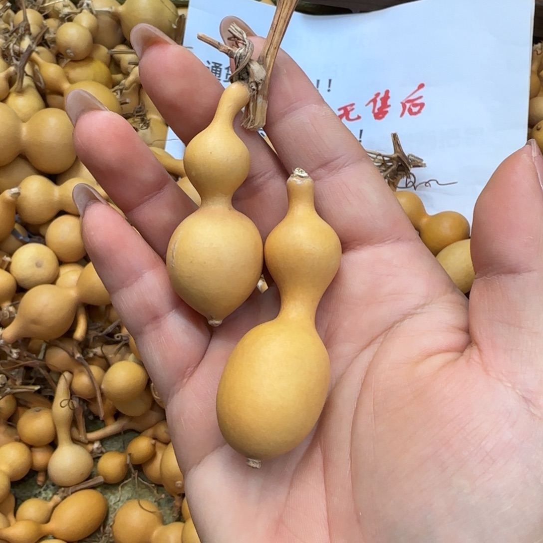 自***乐葫芦无售后默认微瑕