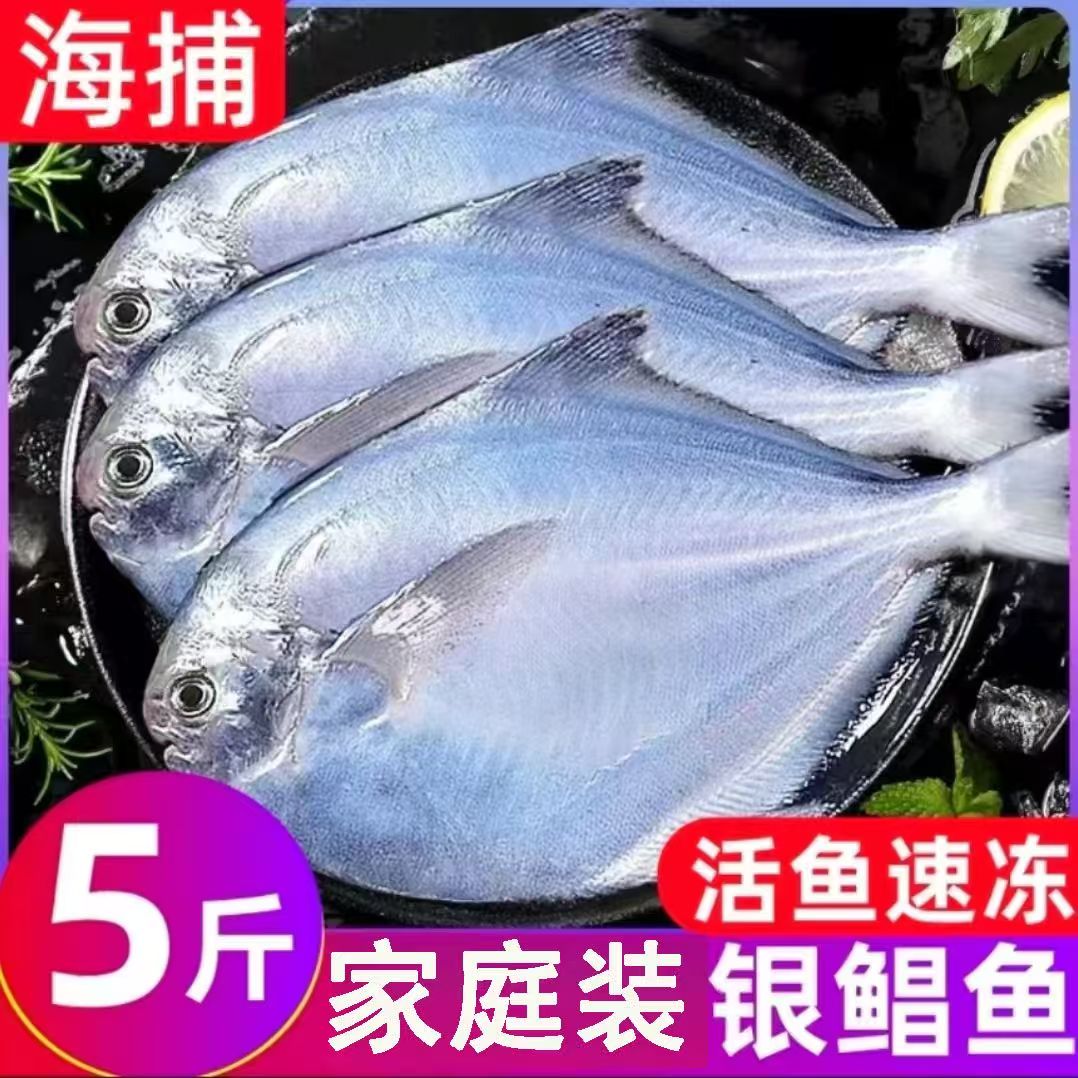 5月新货【到手5斤】海捕银鲳鱼新鲜速冻肉质鲜嫩营养美味深海鱼