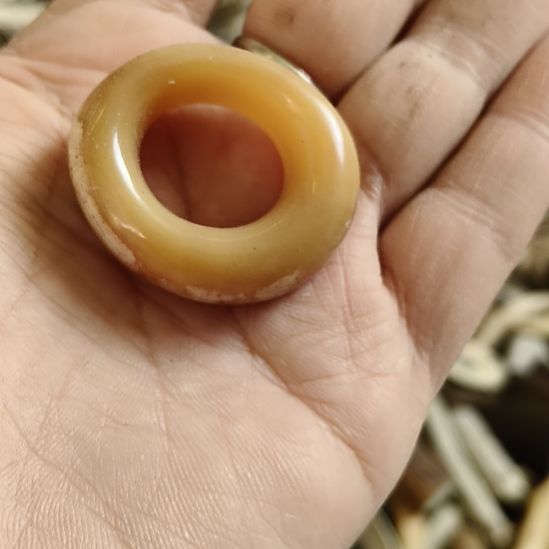 鹿角鹿角鹿角鹿角鹿角鹿角