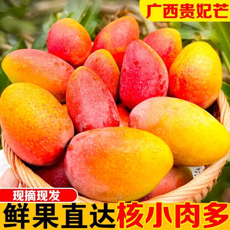 【放软吃】广西百色贵妃芒果新鲜现摘带箱10斤