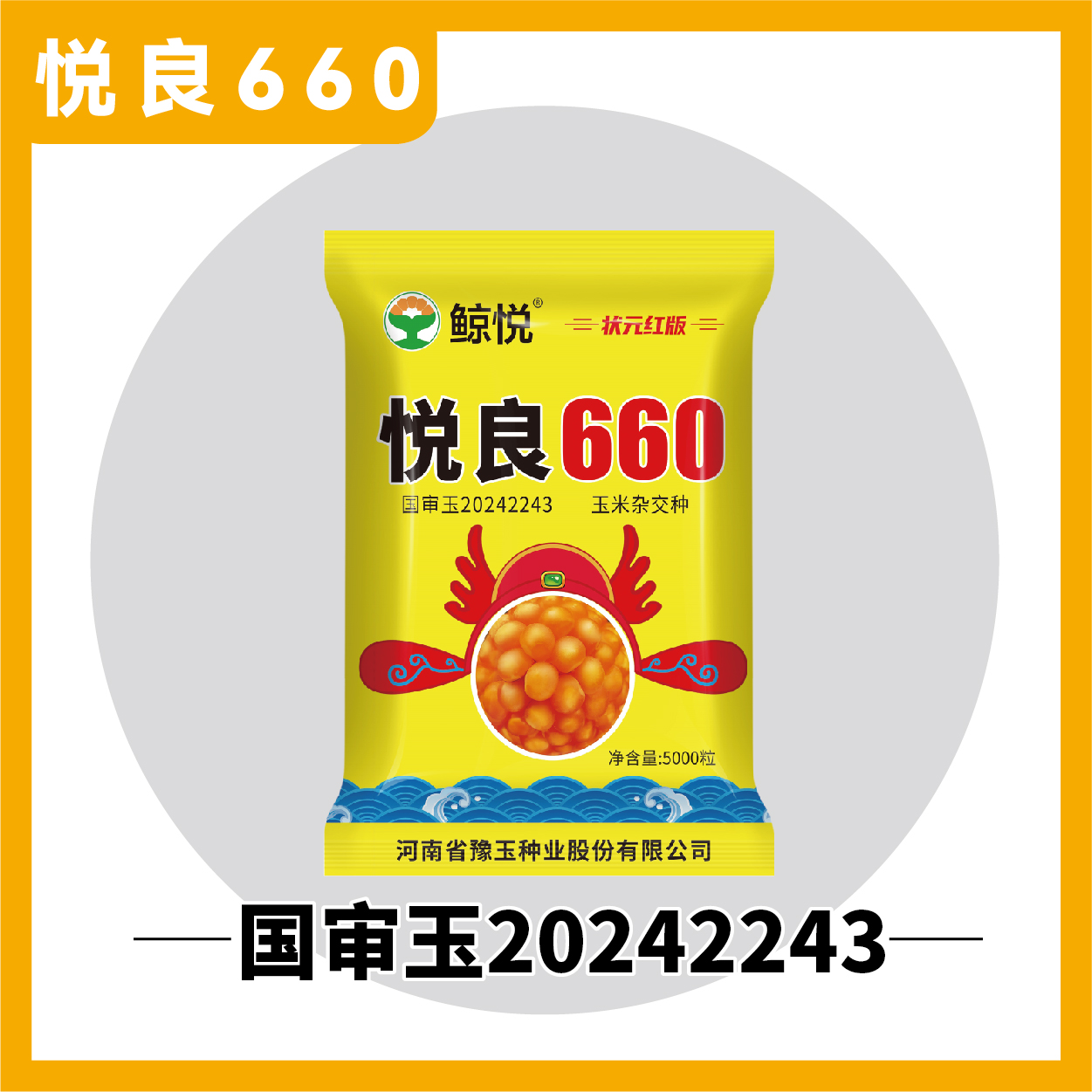 【悦良660】高产抗性好正品玉米种子