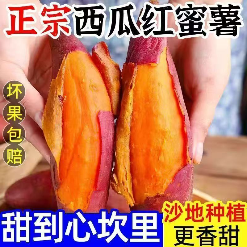 西瓜红红薯超甜正宗沙地蜜薯番薯现挖红心农家新鲜糖心地瓜批发