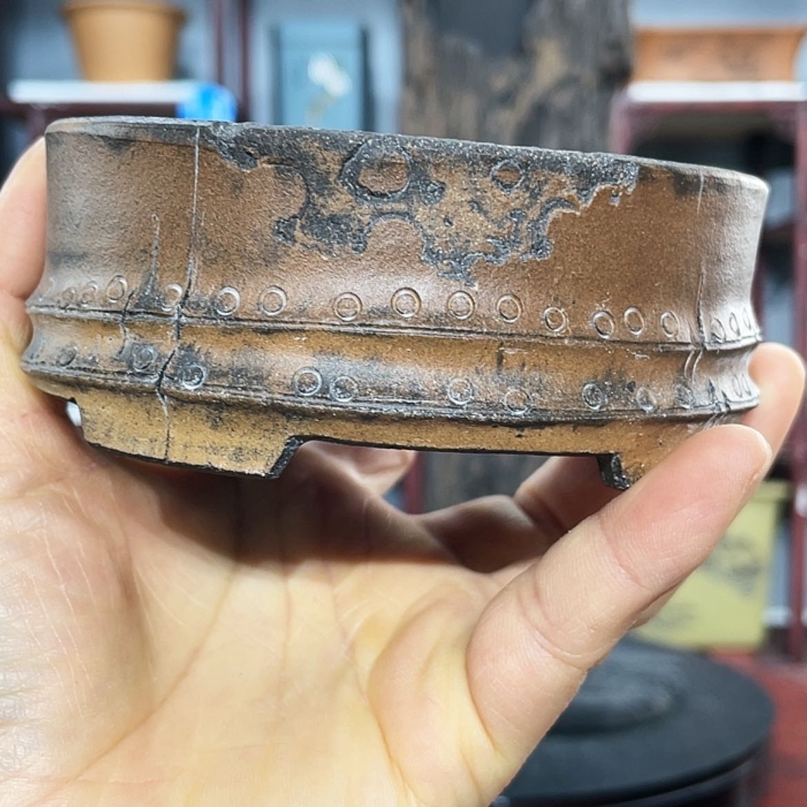 【闪购商品】紫砂花盆黑*紫砂花盆