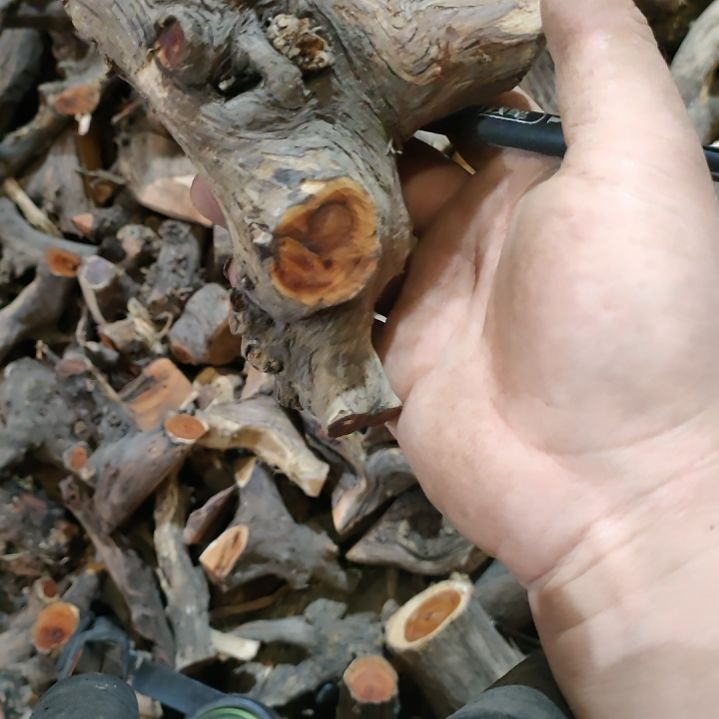 金***飞大果紫檀（缅甸花梨）