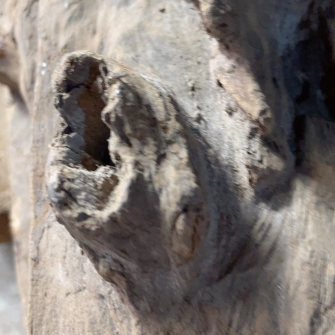 派***居贡木手串私人定制