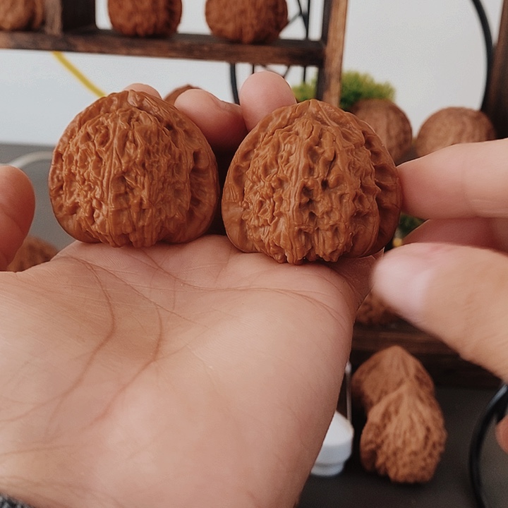 44大角白红皮果骨质好