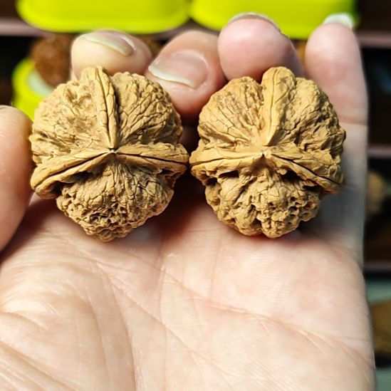 文玩核桃吊坠三棱野生蛤蟆头（02）