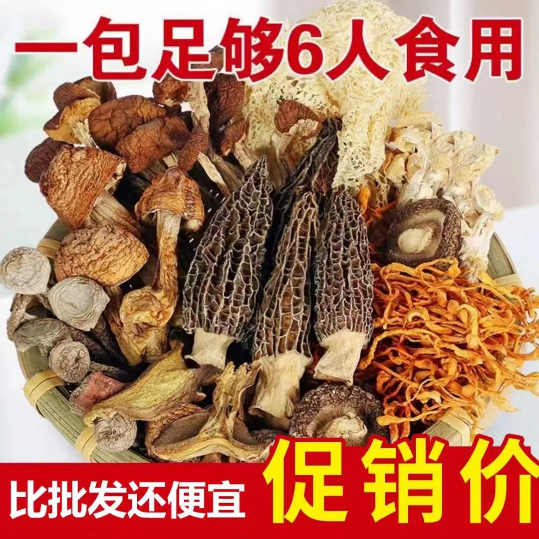 正宗云南菌菇七彩菌汤包羊肚菌菌菇汤包食用甄选精选美味干货