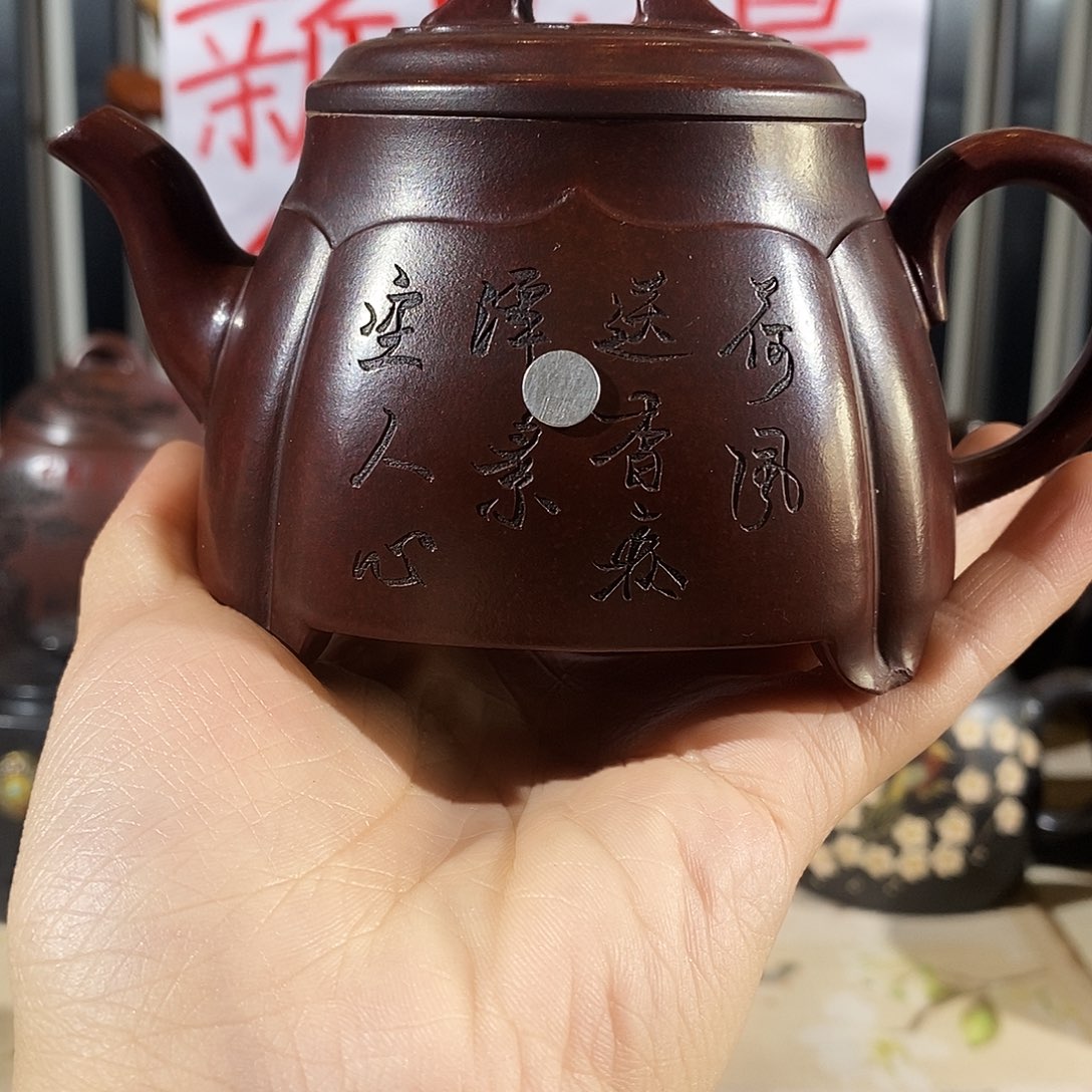 紫砂盖碗哈哈哈哈哈哈