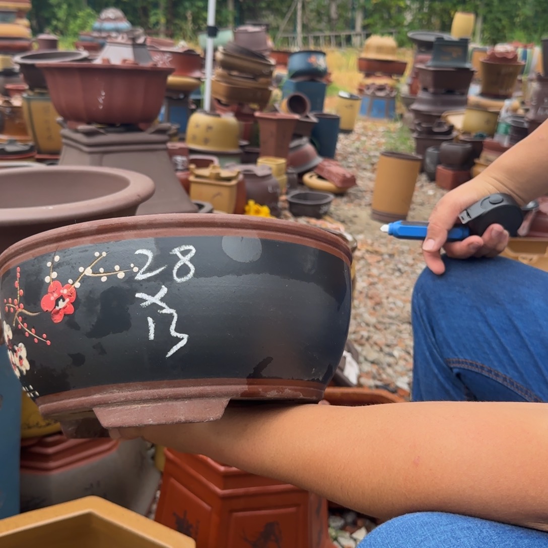 紫砂花盆紫砂花盆盆景盆栽