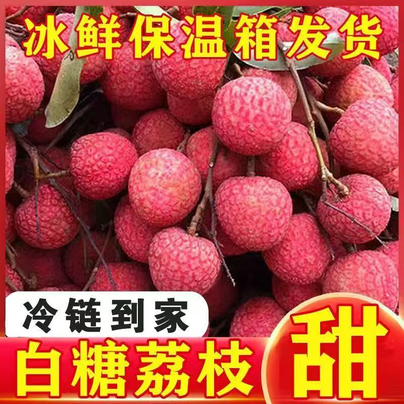 白糖罂荔枝现摘现发当季新鲜水果香甜多汁