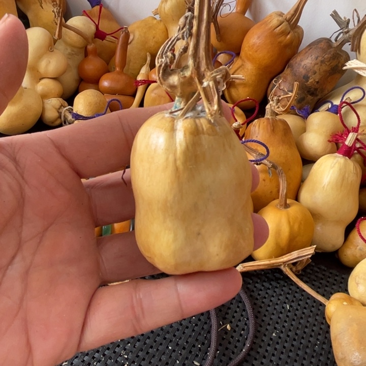 富***艺葫芦哈哈哈哈哈哈哈哈好吧