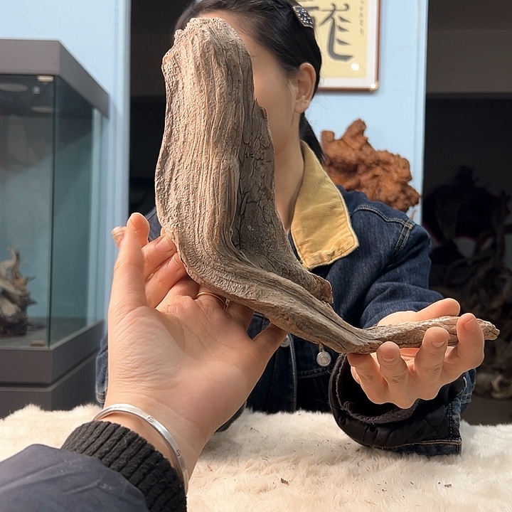柏木慕****家我们的生活也是