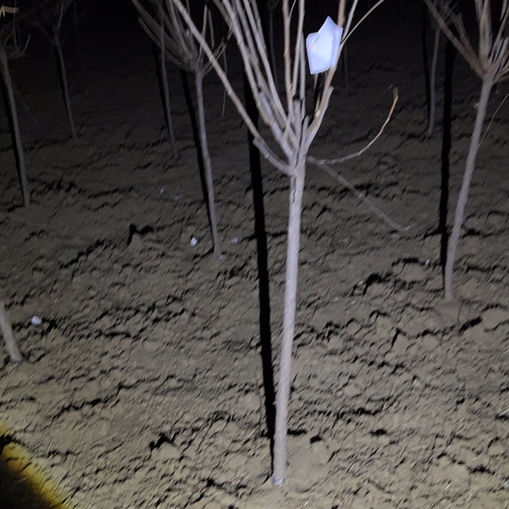 完全开放一物一拍