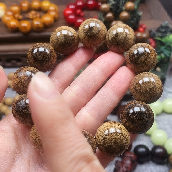 山***歌其他藤类买麻藤2.0