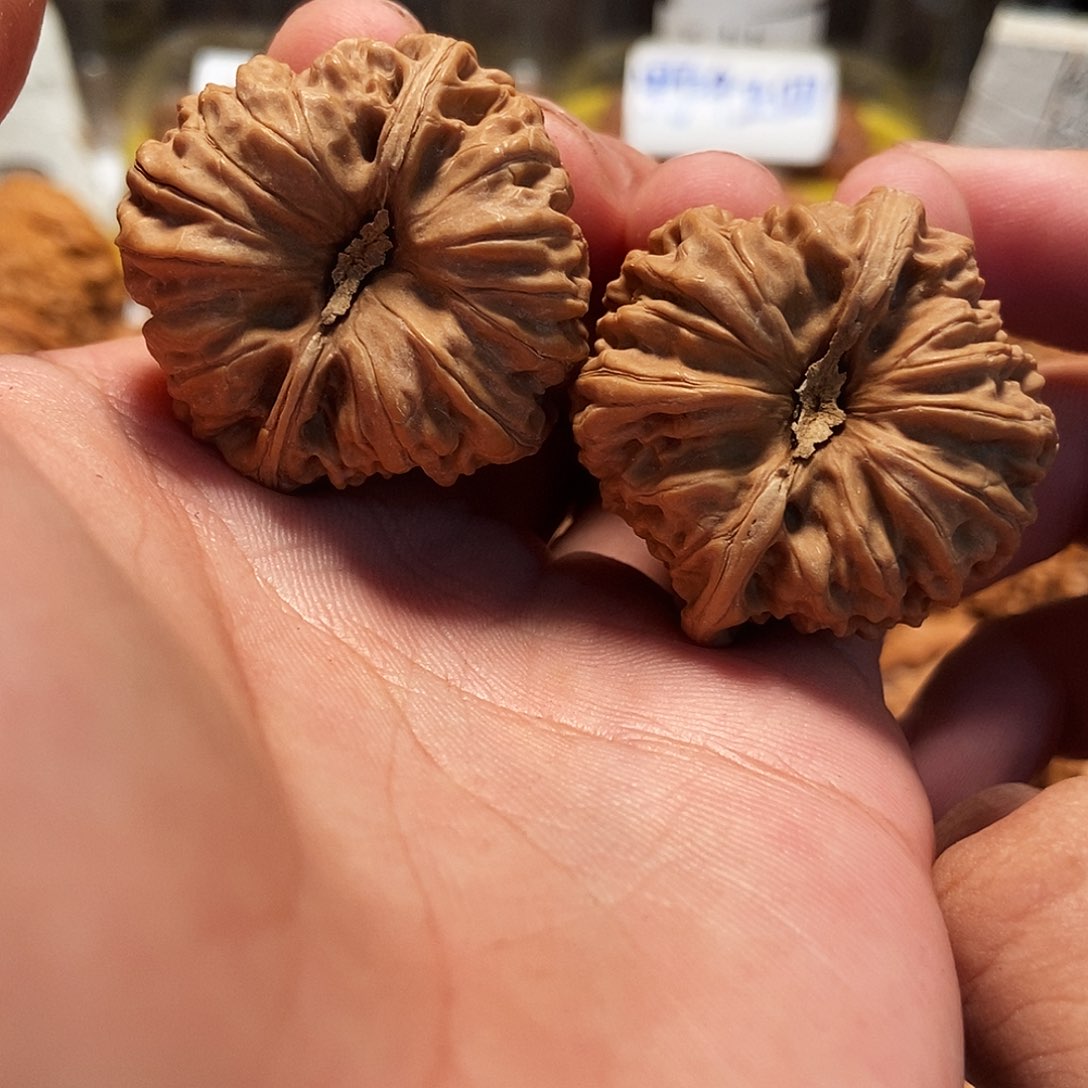 文玩核桃吊坠36全品凹底。27