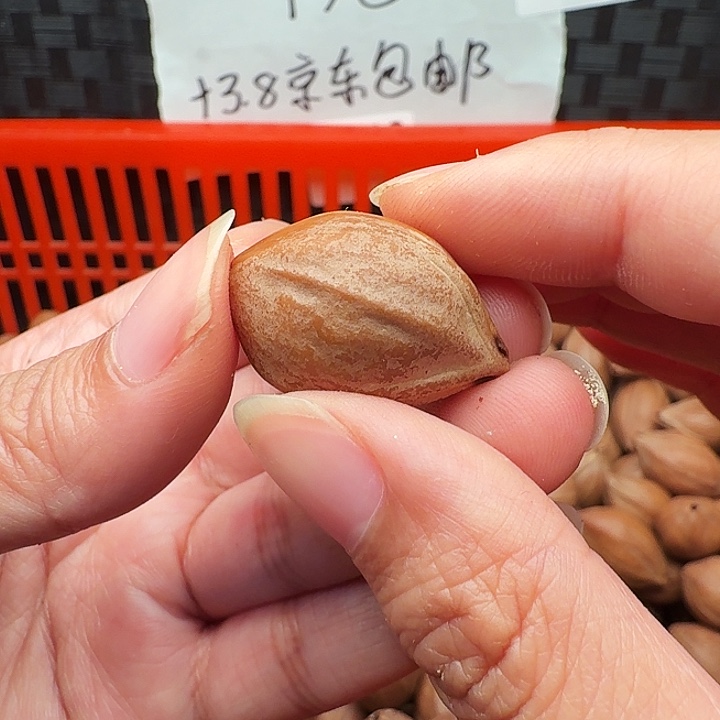 漠***妖橄榄核手串/手链橄榄