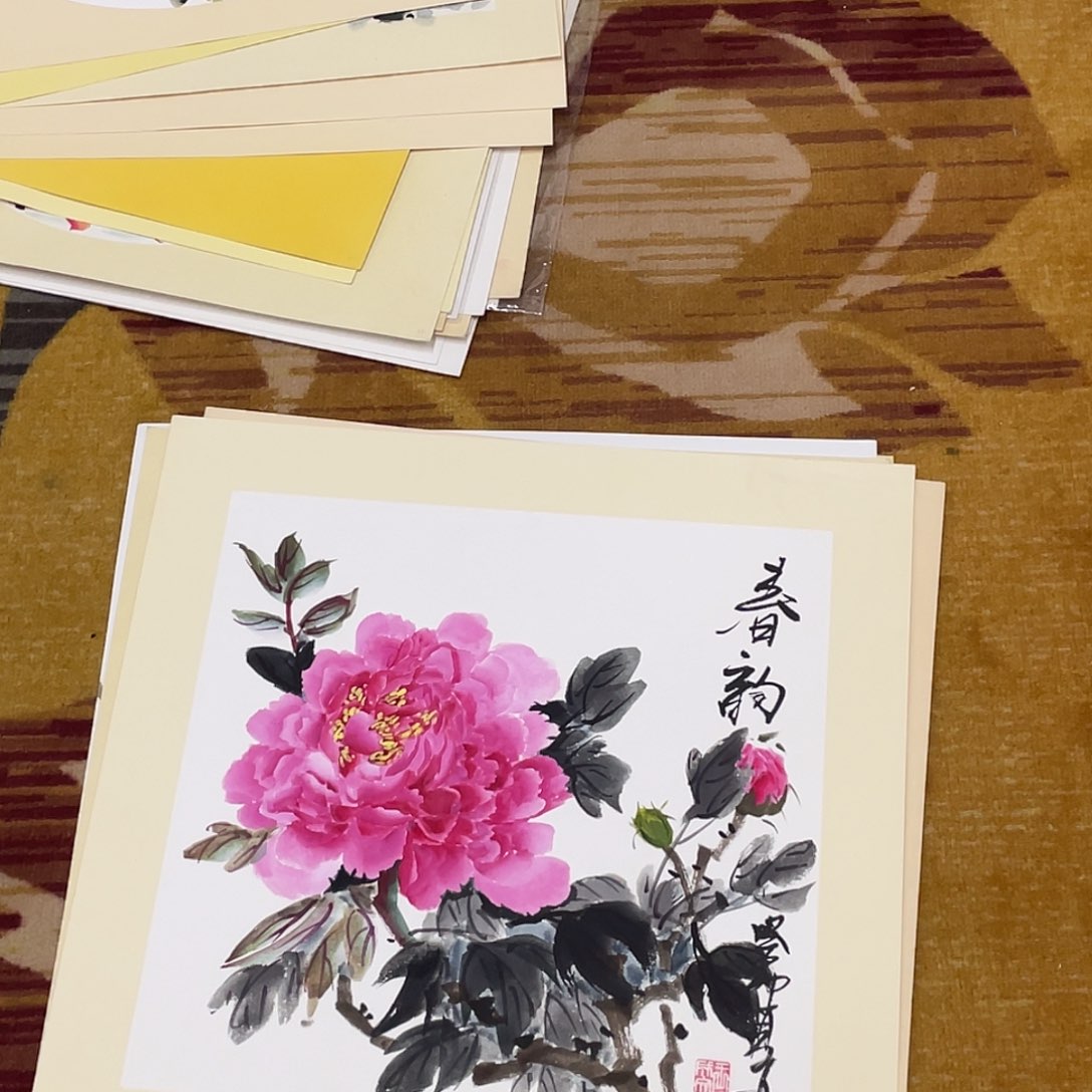 国画漠*王老师绘画花鸟50卡纸5555