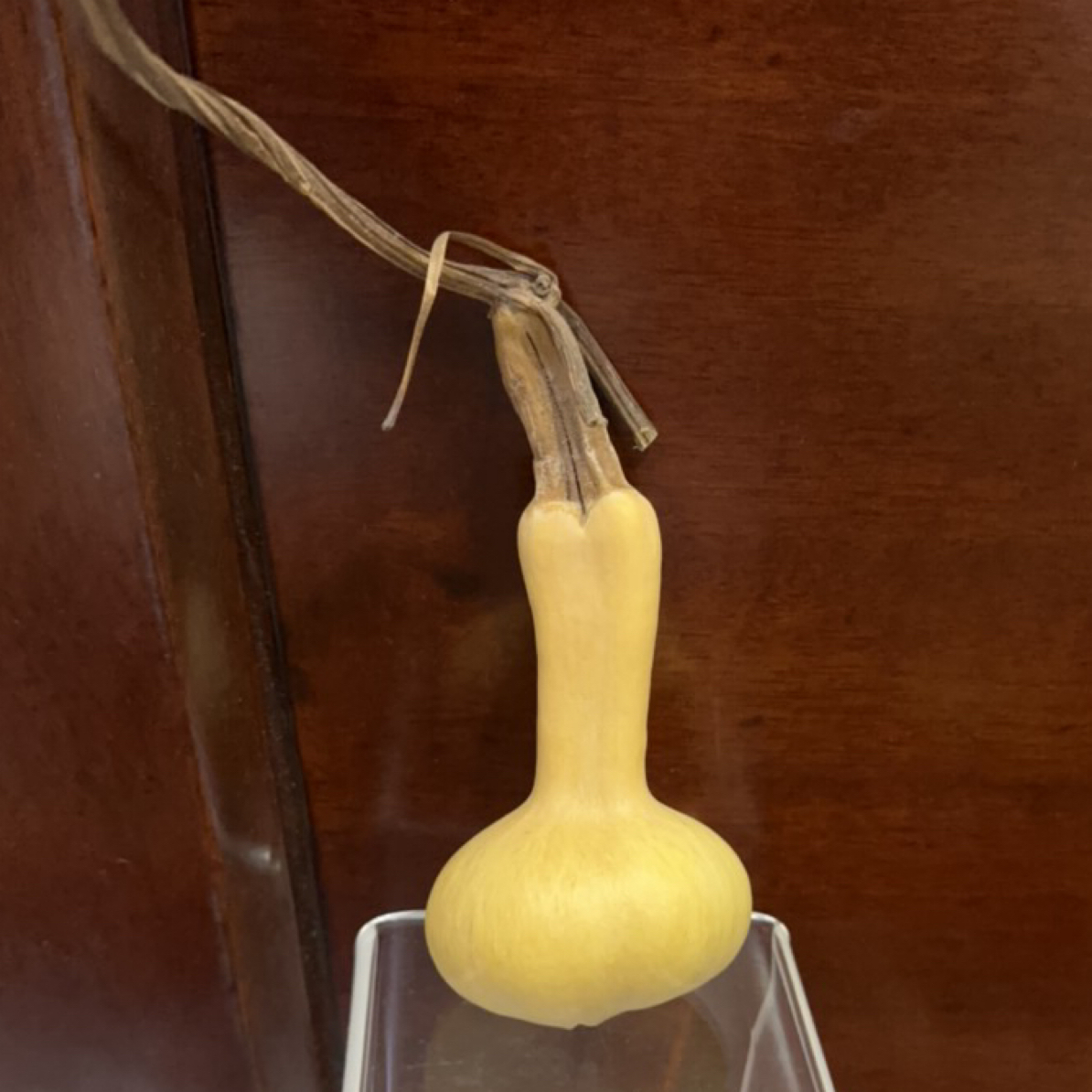 葫芦，，，，，，，，，，，，，，