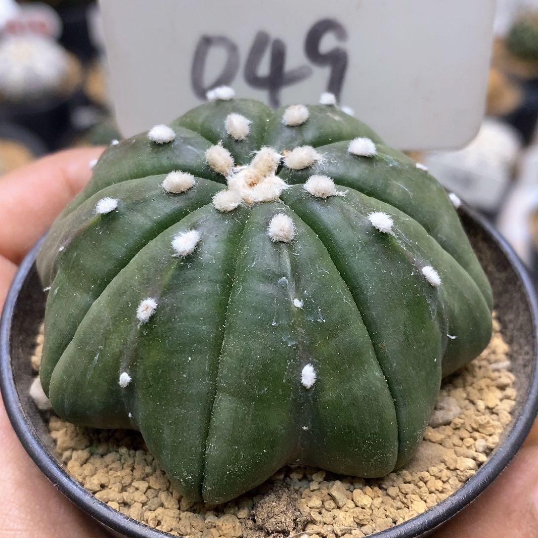 福利特价来了来喽