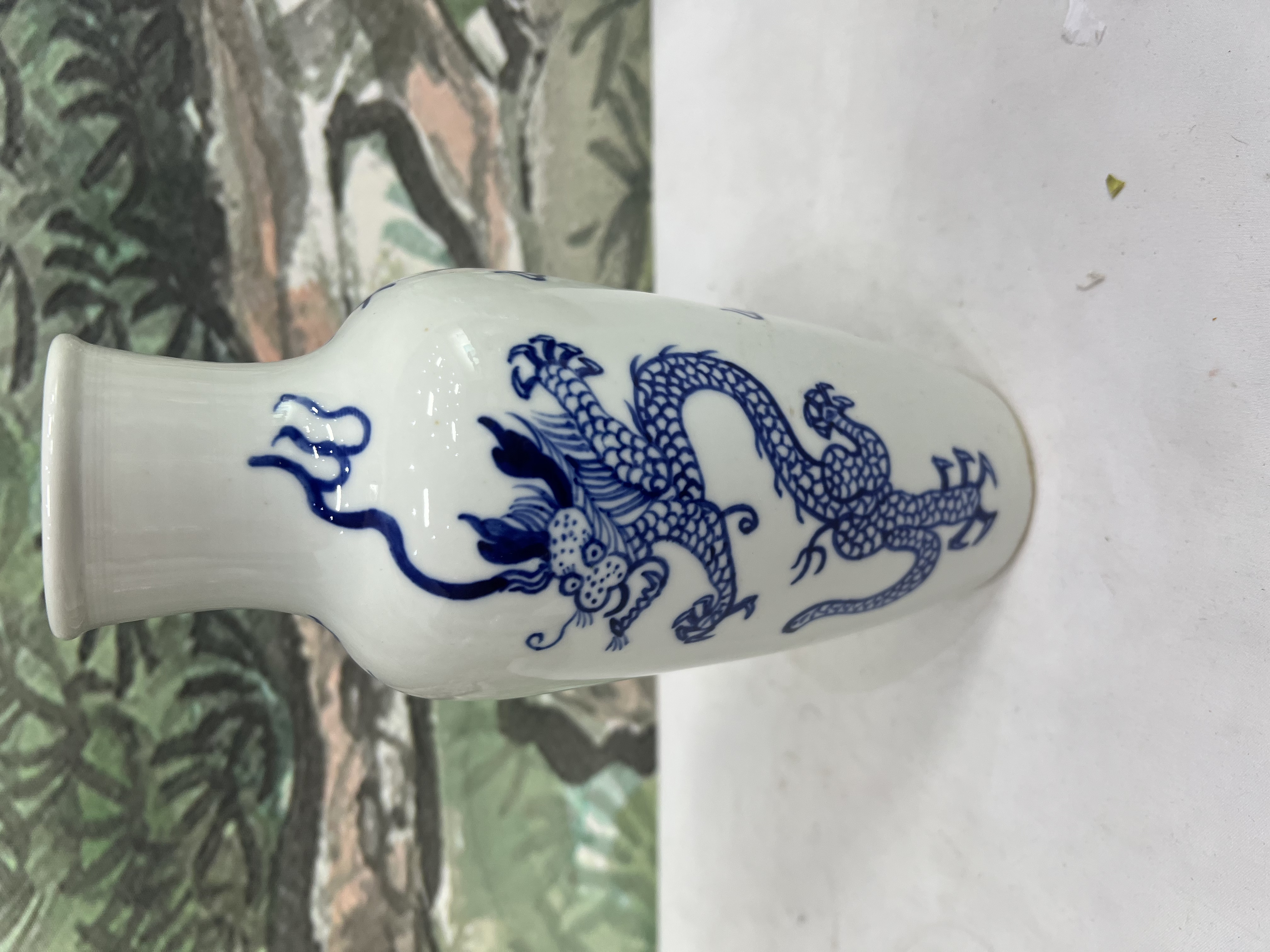 B颐和园陶瓷龙纹瓶