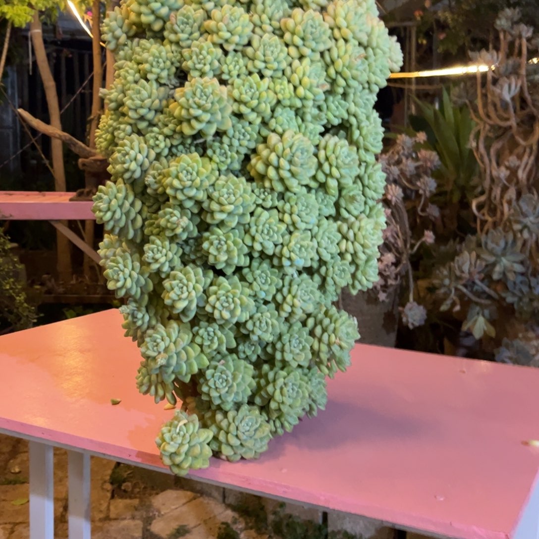 四****）多破老桩多破老桩