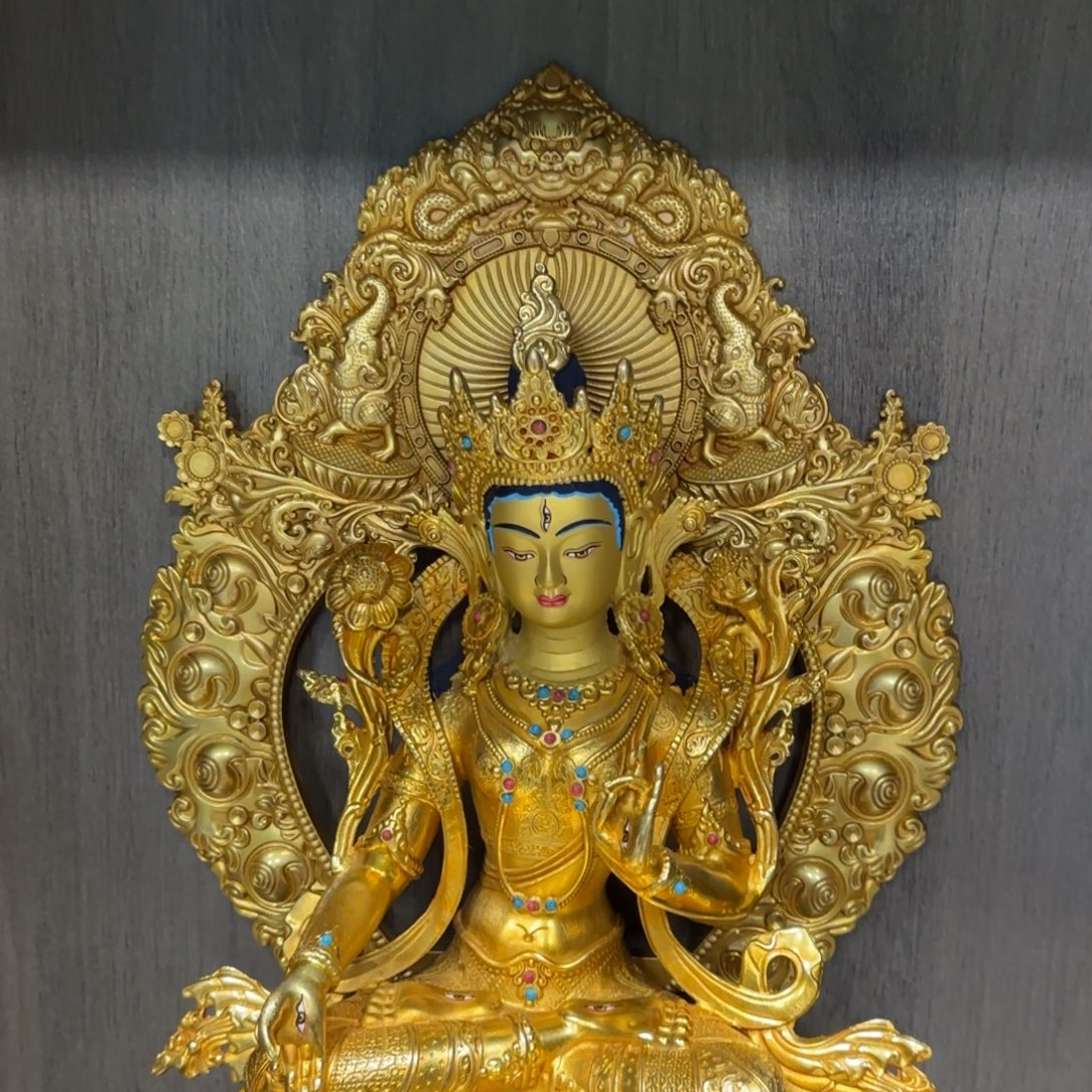 Z***我也不知道我为什么会