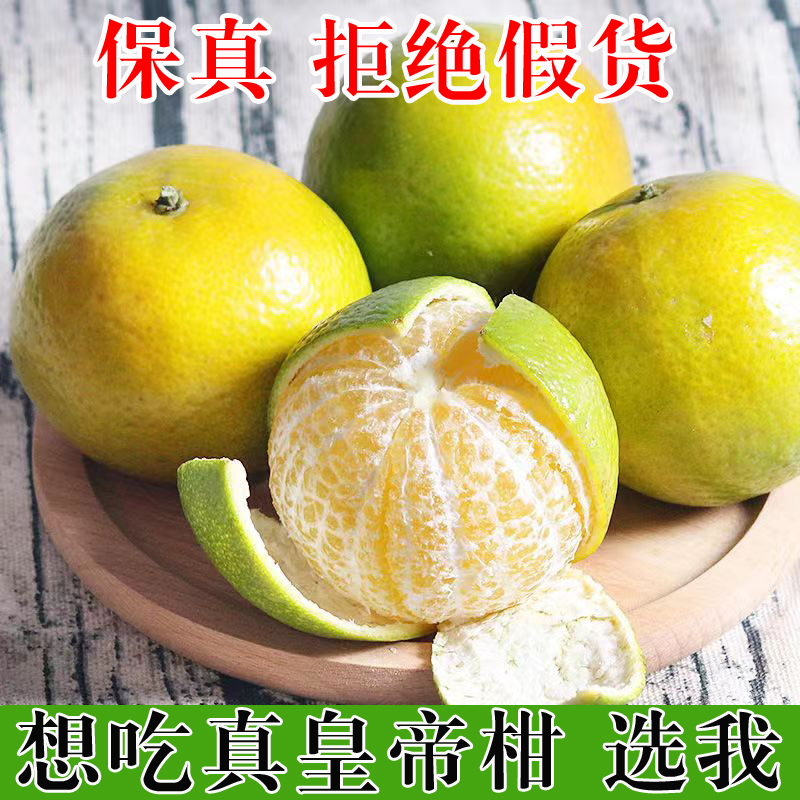 精品 广西皇帝柑贡柑 新鲜现摘当季水果柑橘桔子净重3-8.5斤