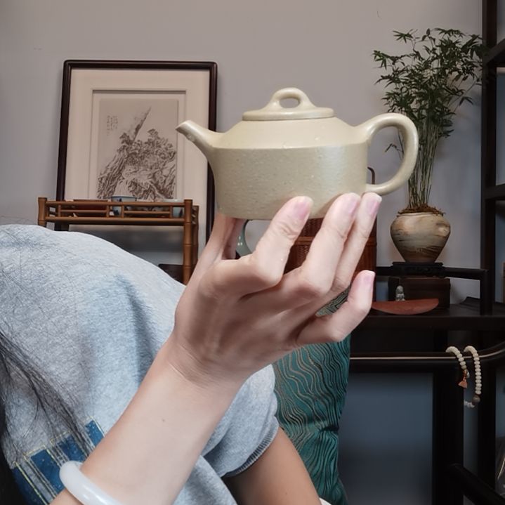 谭***率茶壶紫砂镜瓦半手工大水潭梨皮