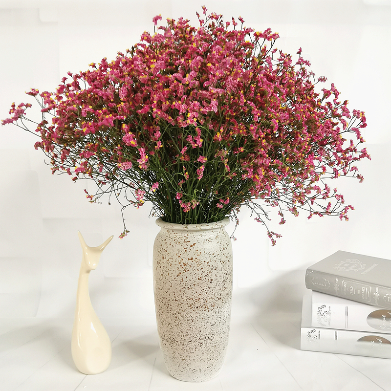 云南真花勿忘我满天星水晶草风干干花花束家居摆设论斤卖装饰摆件