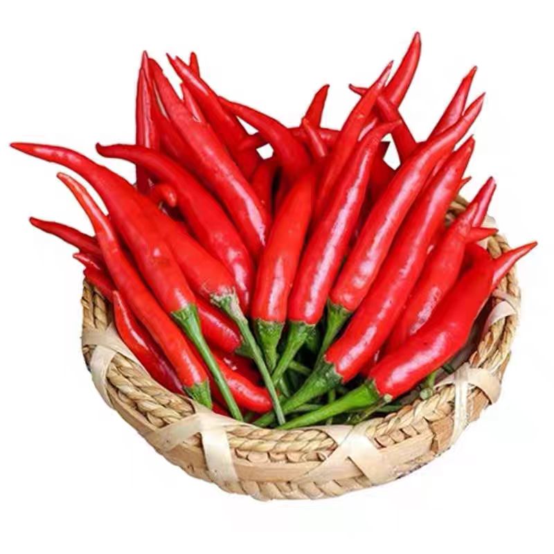 小米椒约100g 红小米椒