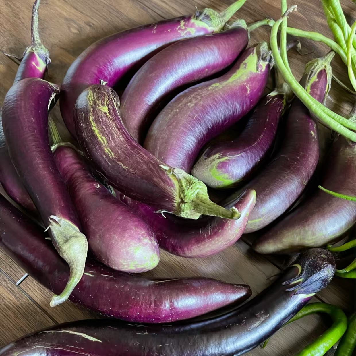 农家自种茄子新鲜采摘（小）