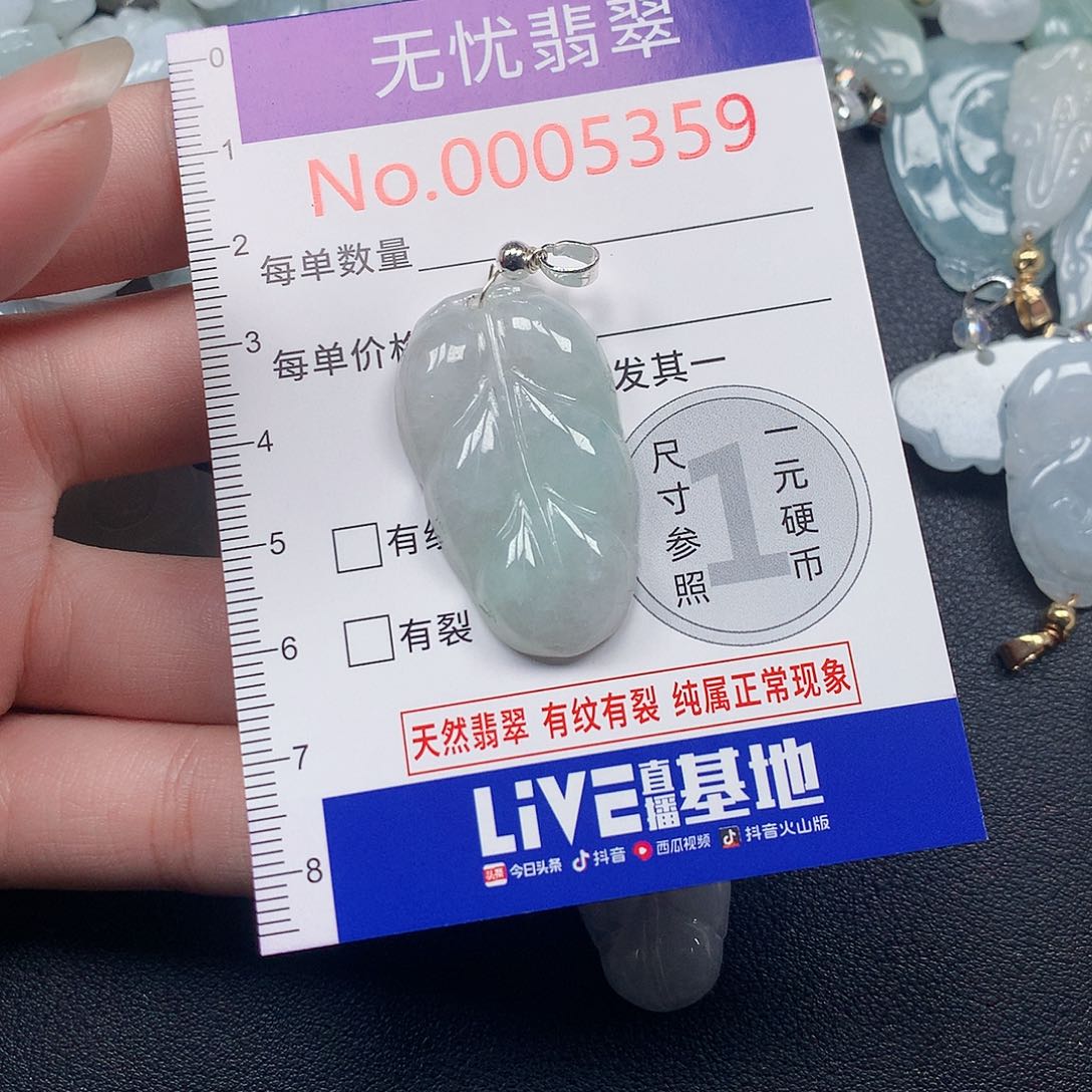 颈饰未镶嵌翡翠t