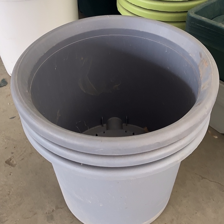 瑕疵四季盆6号雾霾蓝发3个口径32高度28