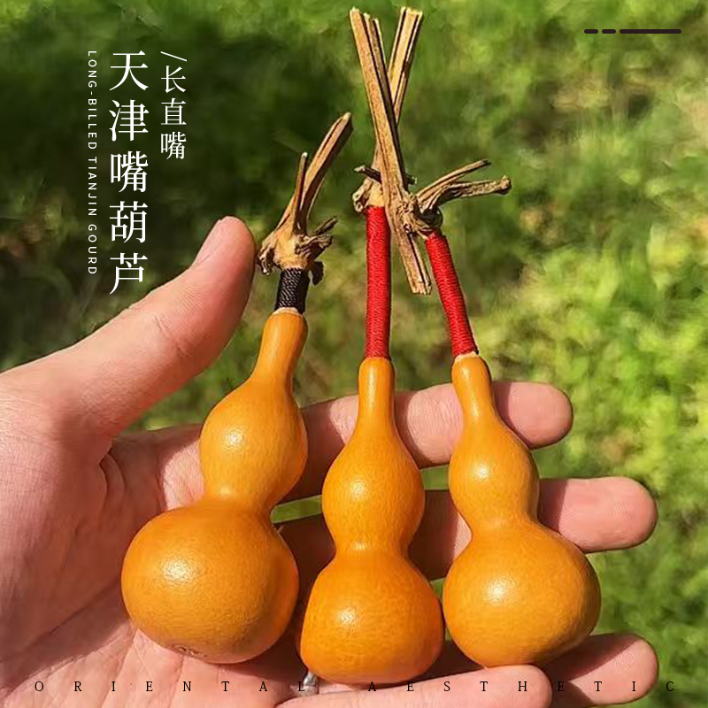 精品天津嘴葫芦长直嘴葫芦天然真葫芦可盘玩把玩的手把件