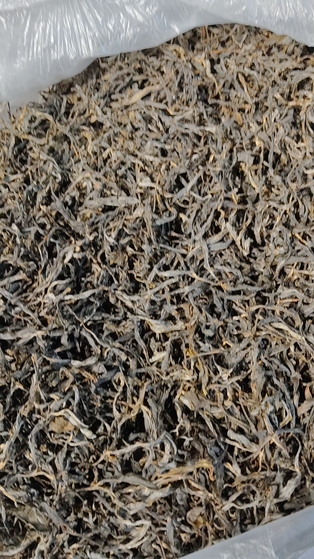 1号通用连接普洱生茶！晒青生茶！