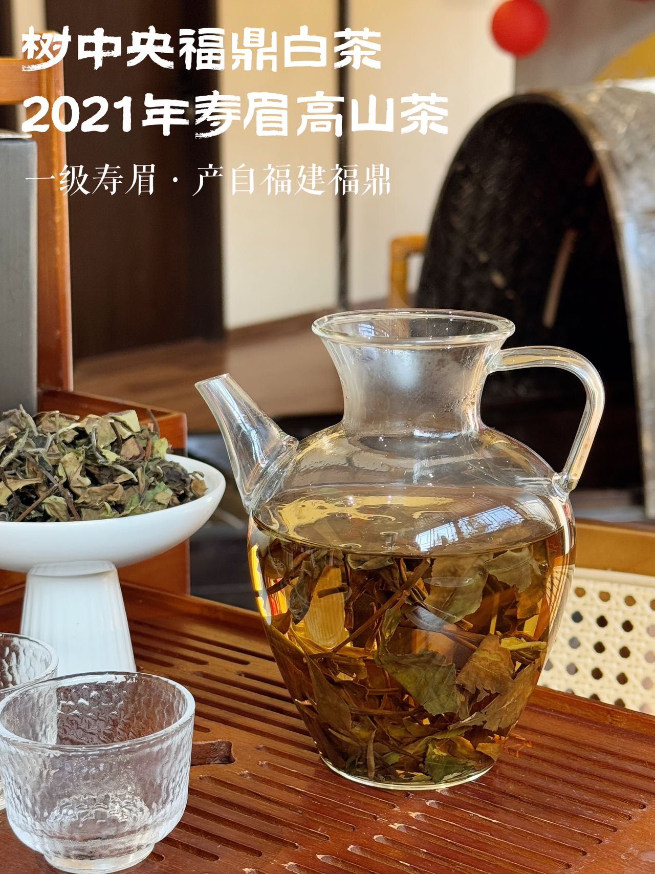 树中家福鼎白茶寿眉高山茶