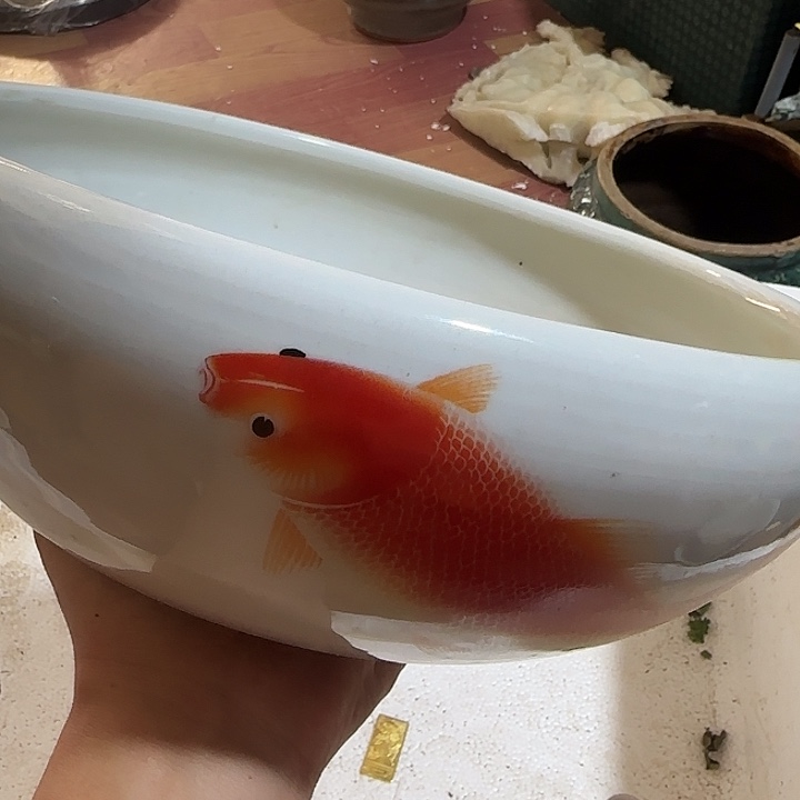 A***y扇子以后还会给哈哈哈哈哈宝贝