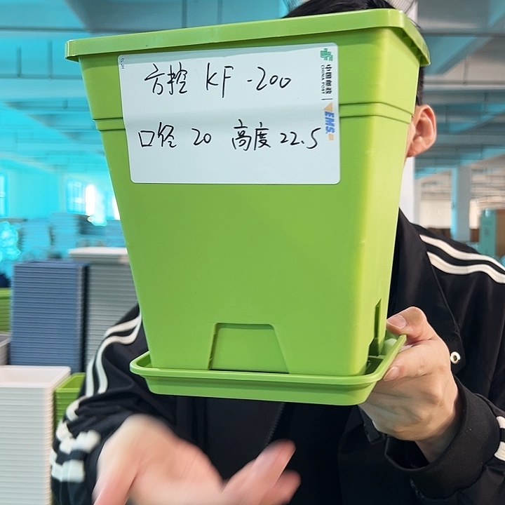 正品圆控口20高22果绿带托6只