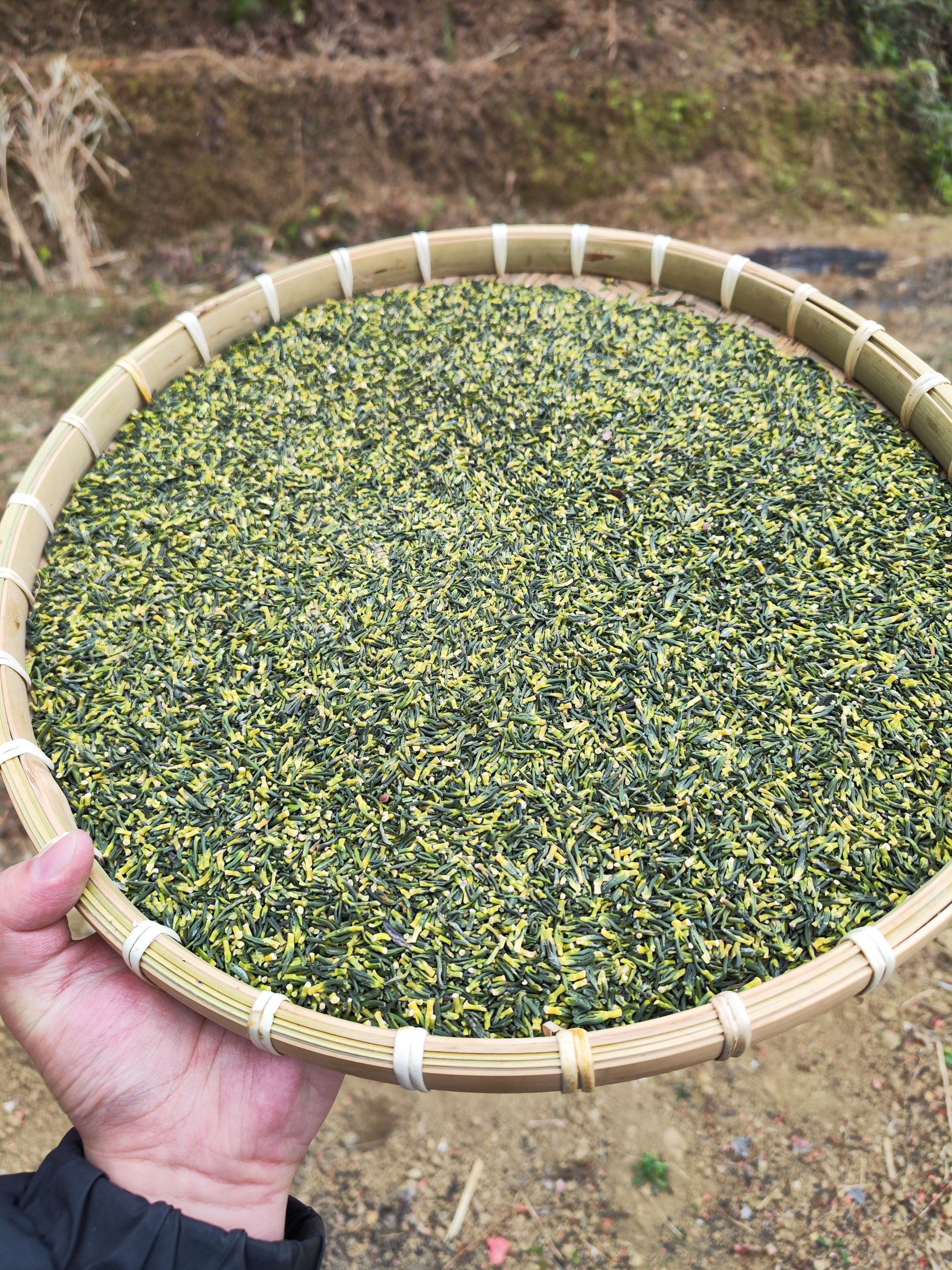 【恣亳堂精选】新货正品莲子芯泡茶可入方滋补